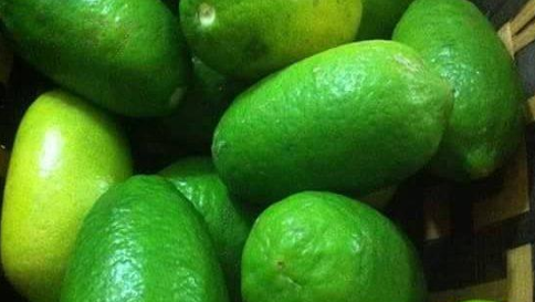Assam lemon