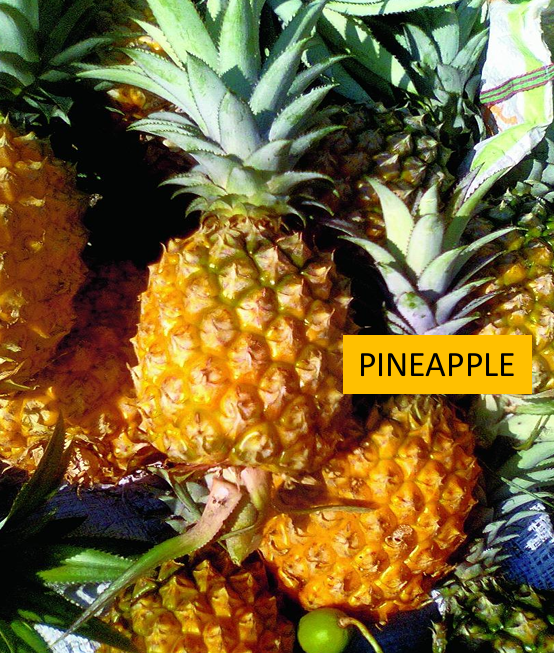 Pinapple